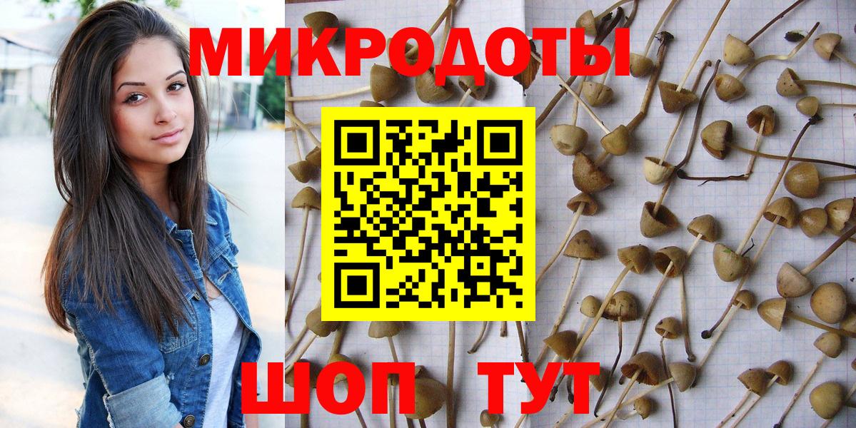 Нальчик  Псилоцибиновые грибы ЛСД  Вход с VPN 